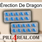 Érection De Dragon